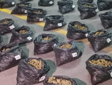 Incautan más de 110 kilos de marihuana desde el estacionamiento de un edificio en Santiago