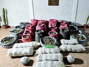 Decomisan más de $22 mil millones en droga en la Región de Coquimbo