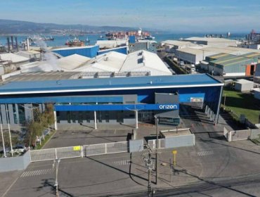 Hallan "restos óseos de origen no identificado" en planta procesadora de empresa pesquera de Coronel