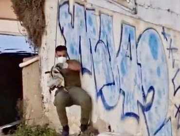 Pingüino varado en Viña del Mar: insólito operativo de rescate en el estero Marga Marga