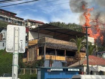 Incendio forestal amenazó con propagarse a viviendas y restaurantes en Concón