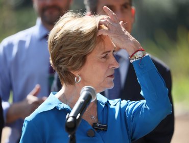 Según Estudio Nacional de Opinión Pública, Evelyn Matthei lidera las preferencias presidenciales con un 15%