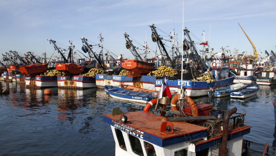 Ley de Fraccionamiento: Comisión Mixta espera despachar durante esta semana las cuotas pendientes de la pesca