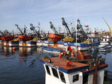 Comisión mixta aprueba designar un 52% de la cuota de la merluza común a la pesca artesanal y un 48% a la industrial