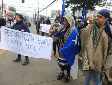 Subsecretario del Interior: “El Estado no ha sabido relacionarse con los pueblos indígenas”