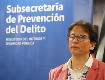 Subsecretaria de Prevención del Delito: "Pasamos del comercio ambulante a una red vinculada a crimen organizado"
