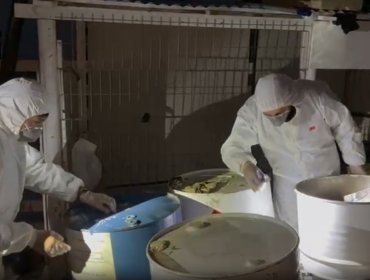 Capturan a cuatro individuos que acopiaban precursores químicos para producir droga y explosivos en Quintero