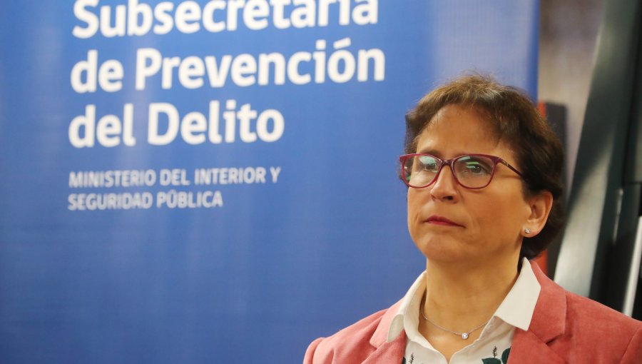 Subsecretaria de Prevención del Delito: "Pasamos del comercio ambulante a una red vinculada a crimen organizado"