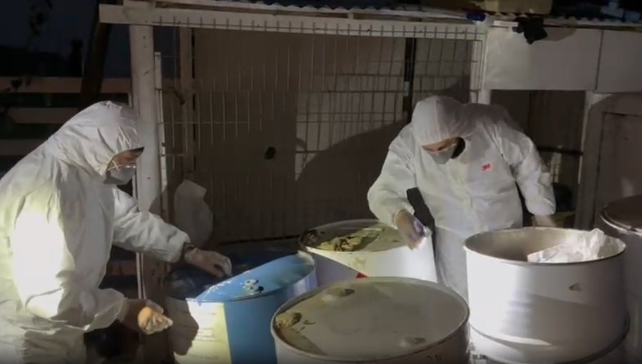 Capturan a cuatro individuos que acopiaban precursores químicos para producir droga y explosivos en Quintero
