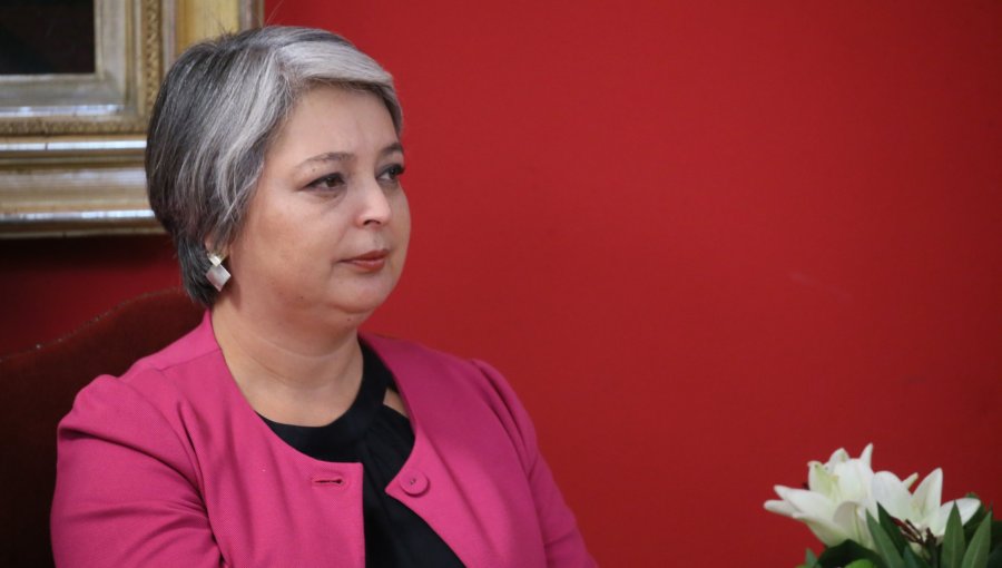 Jara manifestó "incomodidad" tras revelación del romance entre Tohá y Marcel: "Yo lo habría dicho con mayor anterioridad"