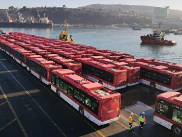 300 buses eléctricos llegaron al Puerto de San Antonio: Beneficiarán a La Granja, San Miguel y San Joquín