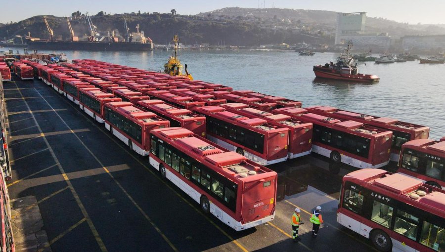 300 buses eléctricos llegaron al Puerto de San Antonio: Beneficiarán a La Granja, San Miguel y San Joquín