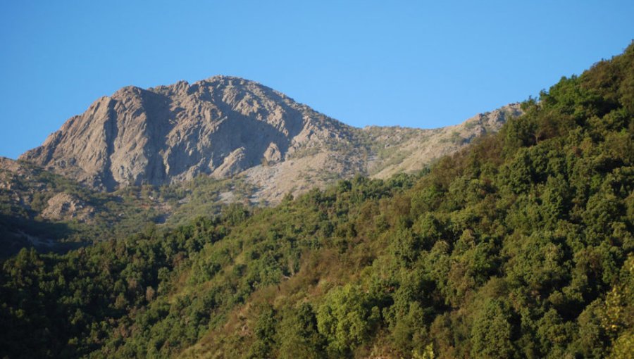 Modelo de gobernanza de la Reserva de la Biosfera La Campana-Peñuelas representará a Chile en concurso internacional de Unesco