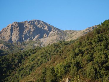 Modelo de gobernanza de la Reserva de la Biosfera La Campana-Peñuelas representará a Chile en concurso internacional de Unesco