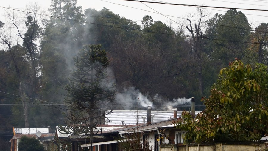 Superintendencia del Medio Ambiente tarda aproximadamente 20 meses en sancionar y tiene más de la mitad de denuncias sin gestión