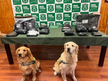 Incautan cerca de 20 kilos de droga avaluada en 300 millones de pesos en la región de Magallanes