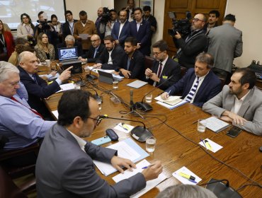 Comisión mixta decide votar por separado fraccionamiento de la merluza común tras no alcanzar la unanimidad requerida