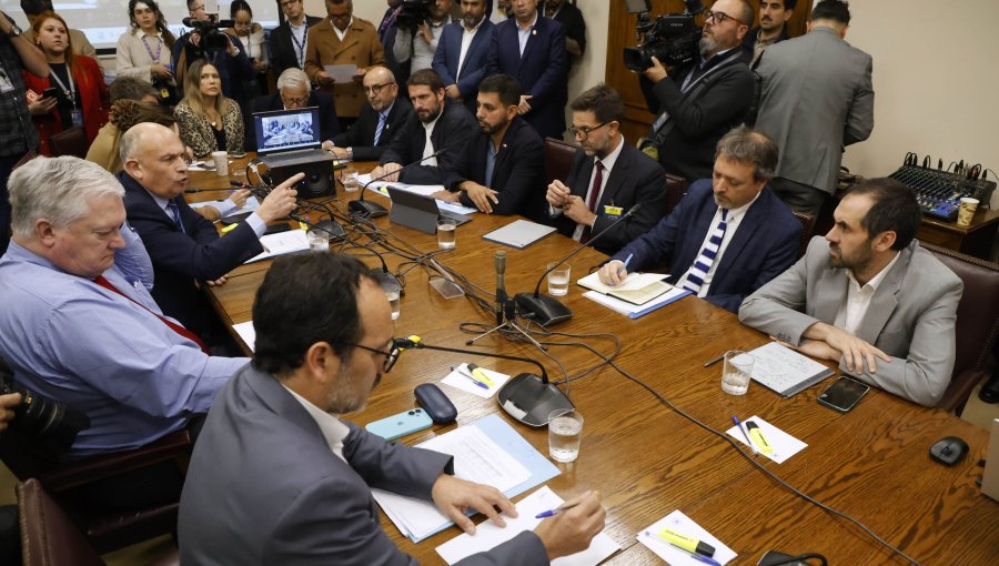 Comisión mixta decide votar por separado fraccionamiento de la merluza común tras no alcanzar la unanimidad requerida