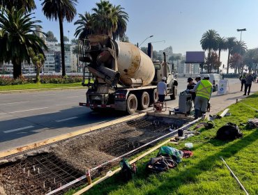 Comienza el recambio de 65 paraderos de locomoción colectiva en diversos sectores de Viña del Mar