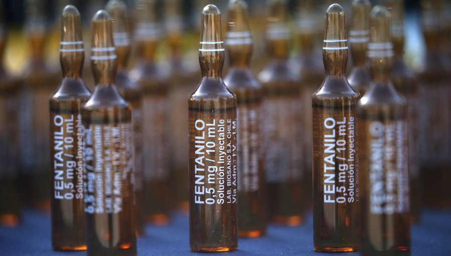 "Droga zombie": Senado aprobó por unanimidad ley que endurece las penas por el tráfico, manipulación y desvío de fentanilo