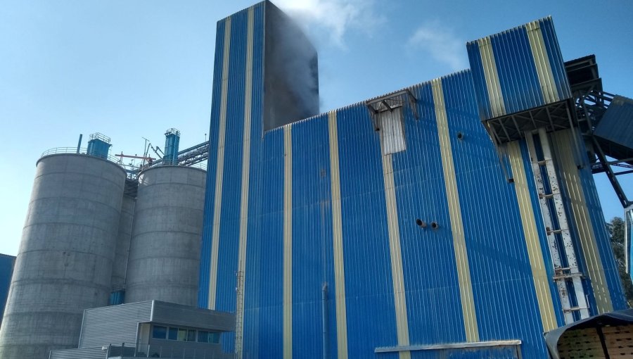 SMA formula cargos graves por infracciones ambientales cometidas por empresa en proyecto localizado en San Antonio