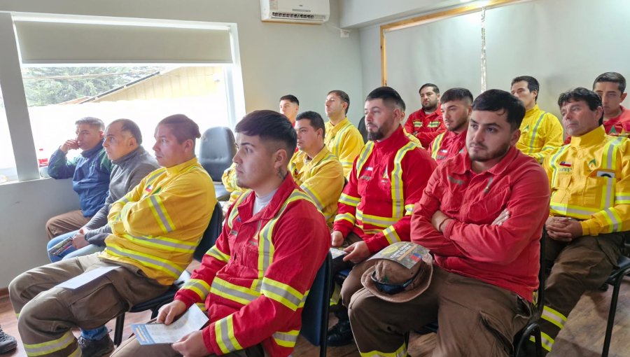 Equipos de Conaf son capacitados para prevenir virus hanta, rabia y reproducción del zancudo transmisor del dengue en Valparaíso