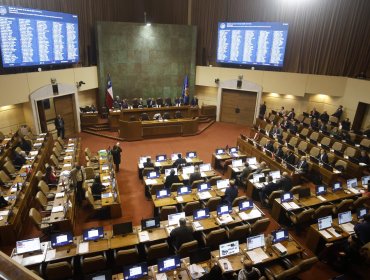 Cámara aprueba informe que recomienda suspender programa de acompañamiento a niños trans