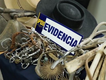 Desbaratan banda criminal que robó más de $100 millones en aperos entre las regiones de O'Higgins y Ñuble