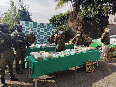 Desarticulan tres organizaciones criminales dedicadas al tráfico de drogas en la región Metropolitana: 16 personas fueron detenidas