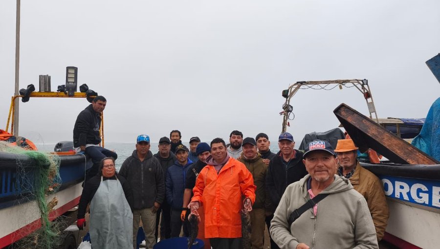 Sindicato de pescadores de Pichicuy solicitó reunión con minera Las Cenizas por riesgo de nuevos escurrimientos