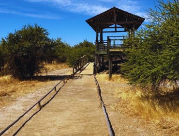 Reserva Nacional Lago Peñuelas de Valparaíso abrirá de forma gratuita este fin de semana en el marco del Día de los Patrimonios