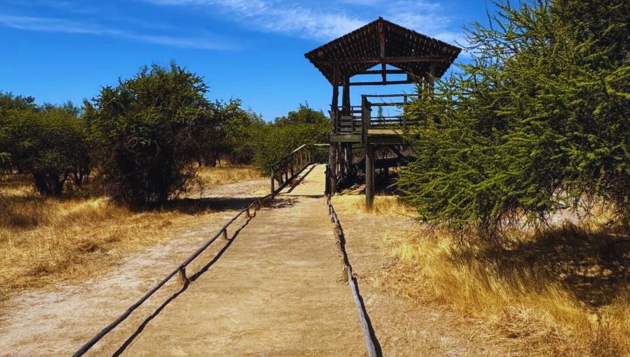 Reserva Nacional Lago Peñuelas de Valparaíso abrirá de forma gratuita este fin de semana en el marco del Día de los Patrimonios
