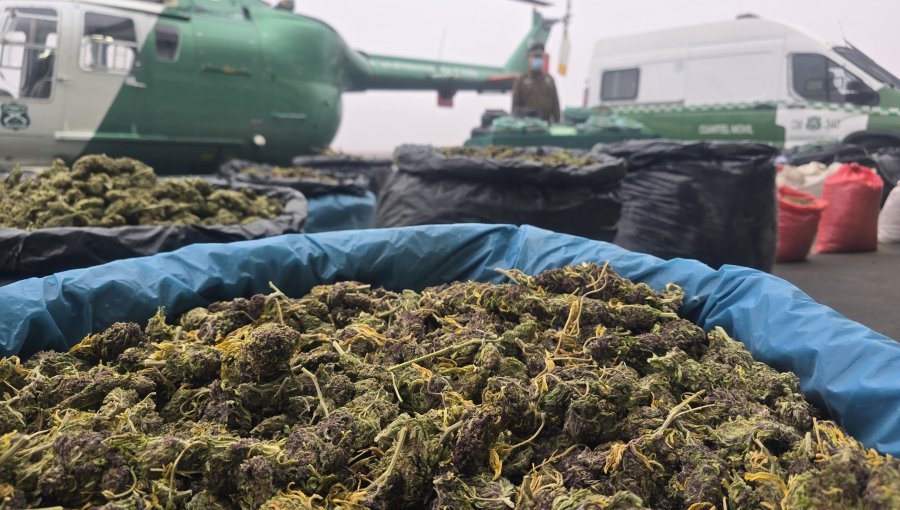 Detienen a dos personas y decomisan más de 800 kilos de marihuana elaborada en Río Hurtado