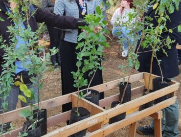 Hospital Pereira de Valparaíso recibió donación de 52 árboles nativos para fortalecer conservación de su ecosistema