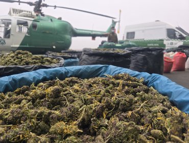 Detienen a dos personas y decomisan más de 800 kilos de marihuana elaborada en Río Hurtado