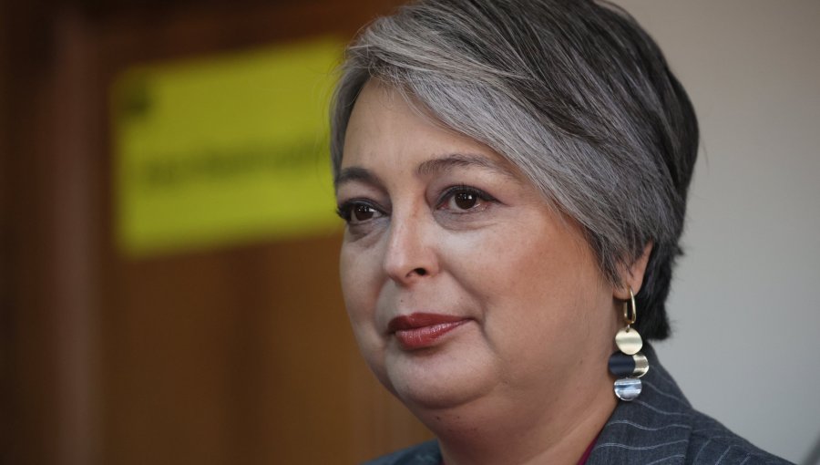 Jara ante polémica por licencia de Barraza afirma que "tendrá que someterse a la misma vara y estándar que todos"