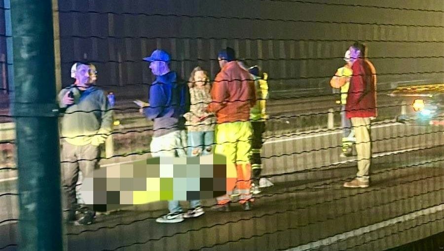 Mujer de entre 25 a 30 años falleció atropellada en la autopista Troncal Sur de Quilpué