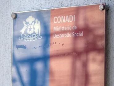 Conadi solicita renuncia a subdirector nacional Sur tras denuncia por violencia intrafamiliar en Temuco