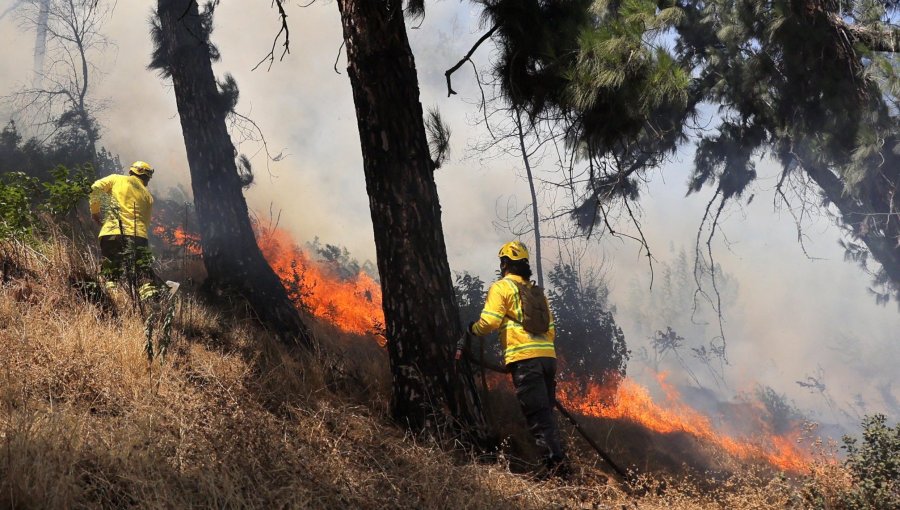 Impulsan proyecto de ley que busca agravar las penas a voluntarios de Bomberos o funcionarios de Conaf que causen incendios