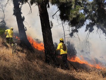 Impulsan proyecto de ley que busca agravar las penas a voluntarios de Bomberos o funcionarios de Conaf que causen incendios
