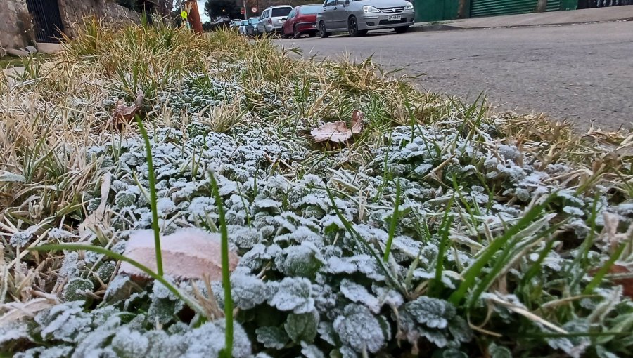 Pronostican heladas a contar de este miércoles en la región Metropolitana: termómetros bajarán a 0° en algunas comunas