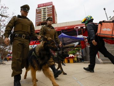 Violento robo en galería ubicada en pleno centro de Viña del Mar: delincuentes arrasaron con joyerías y tienda de videojuegos