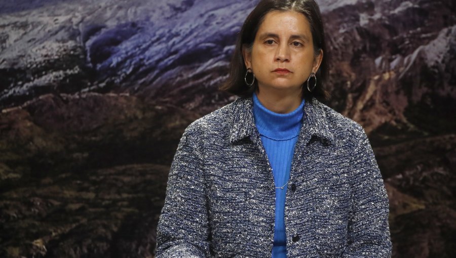 Ignacia Fernández renuncia a la Subsecretaría de Agricultura para integrarse al comando de Carolina Tohá