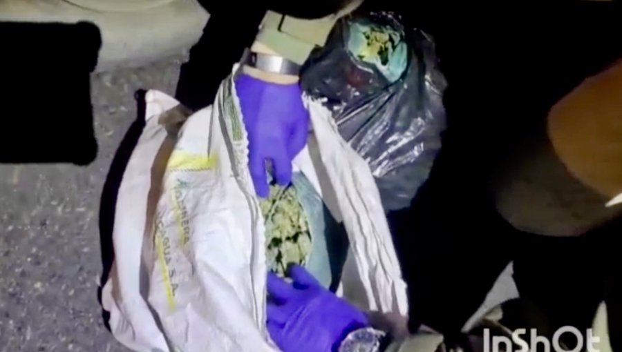 Can antidrogas detectó 4 kilos de marihuana elaborada en un automóvil y permite detención de tres personas en La Ligua