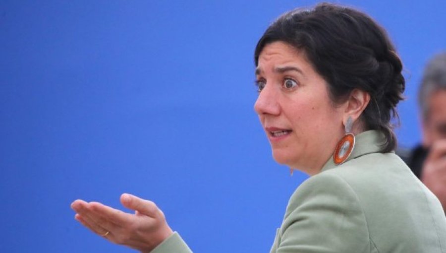 Vocera (s) Aisén Etcheverry responde a críticas al proyecto de aborto: "Es injusto con la democracia"