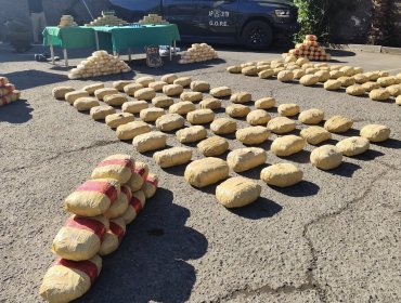 Desbaratan tres bandas criminales que operaban en las regiones de Antofagasta, Coquimbo y Metropolitana