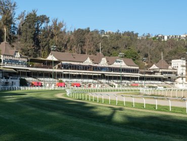 Jinete muere al interior del Valparaíso Sporting de Viña del Mar: caballo impactó contra barrera metálica