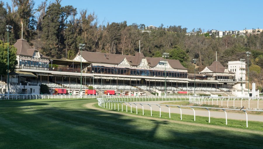 Jinete muere al interior del Valparaíso Sporting de Viña del Mar: caballo impactó contra barrera metálica