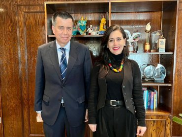 Diputado Celis y alcaldesa Ripamonti se alinean para liderar la reconstrucción desde la comisión investigadora de la Cámara
