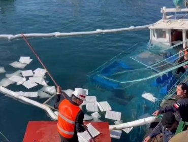 Armada activó operativo de emergencia por lancha que comenzó a hundirse tras colisionar en el muelle Prat de Valparaíso